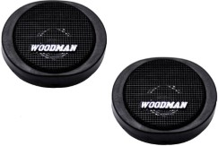Woodman Dome Tweeter Ts20 Coaxial Car Speaker  (300 W)
